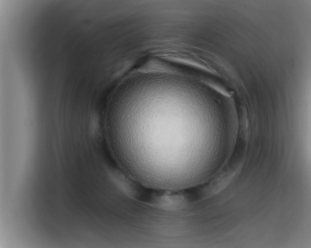 X0000115370270200911101252