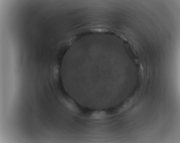 X0000115370271200911101252