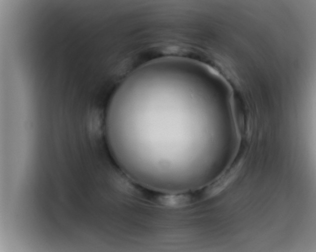 X0000115370273200911101252