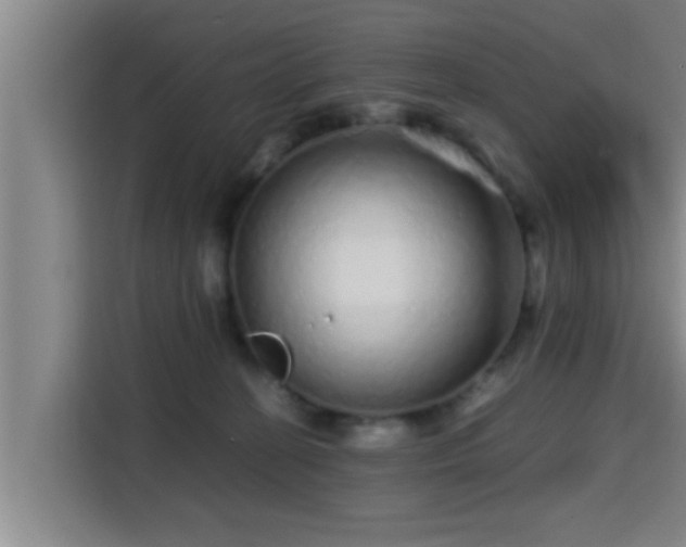 X0000115370274200911101252
