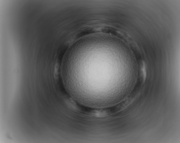 X0000115370275200911101252