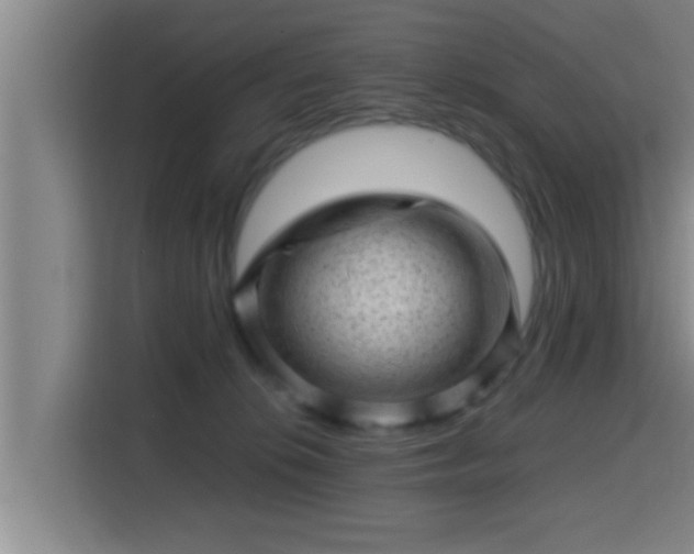 X0000115370276200911101252