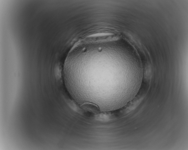 X0000115370282200911101252