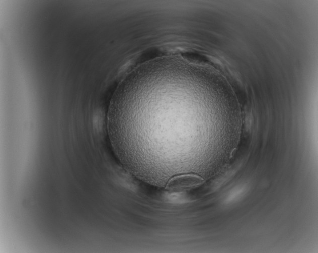 X0000115370283200911101252