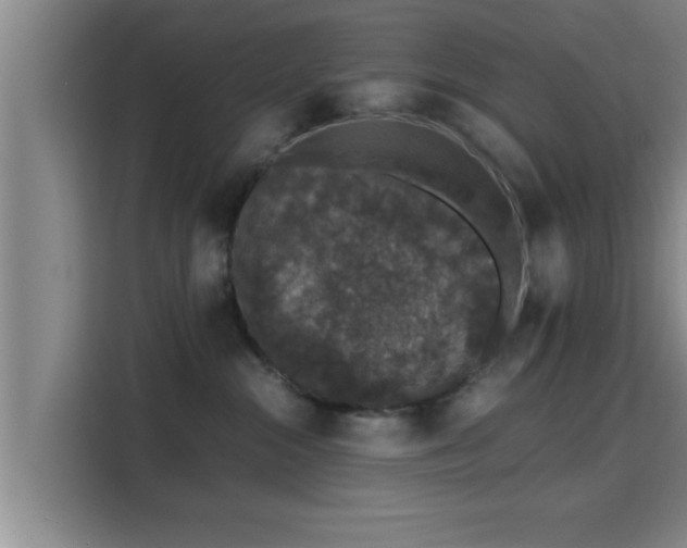 X0000115370284200911101252