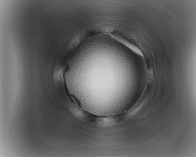 X0000115370286200911101252