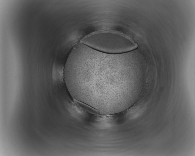 X0000115370288200911101252