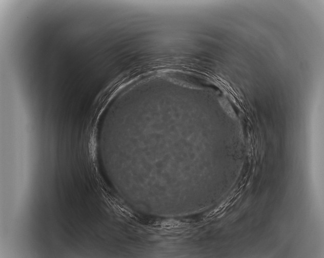 X0000115370290200911101252