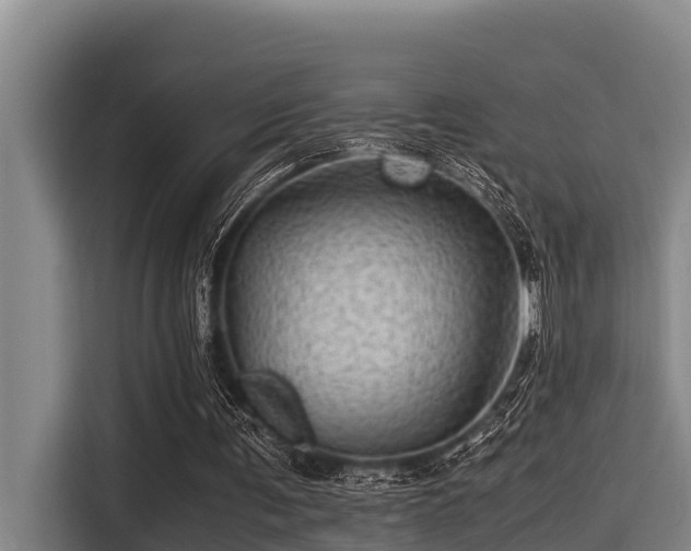 X0000115370291200911101252