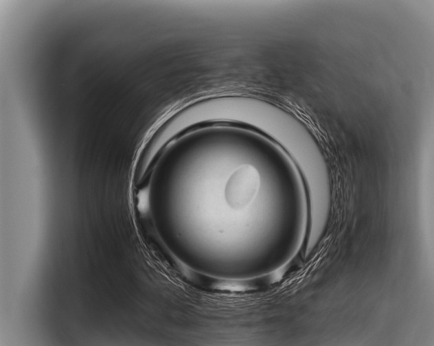 X0000115370292200911101252