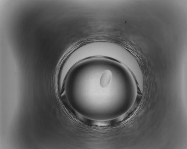 X0000115370293200911101252