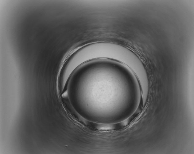 X0000115370294200911101252
