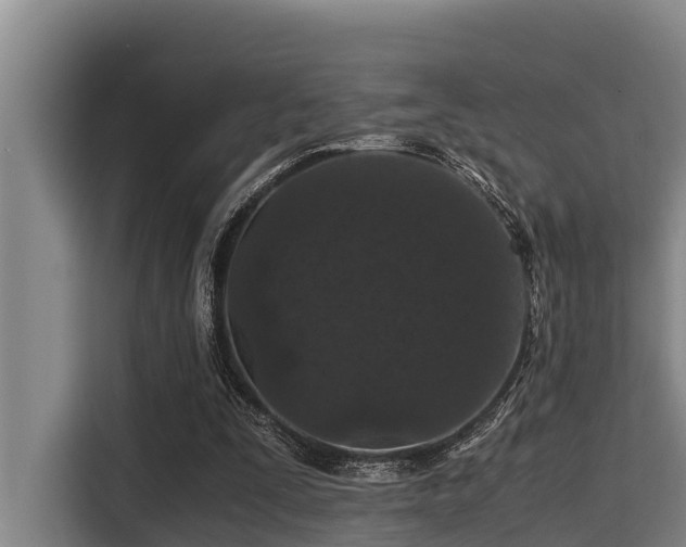 X0000115370295200911101252