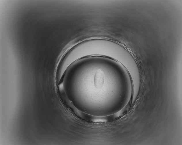 X0000115370296200911101252