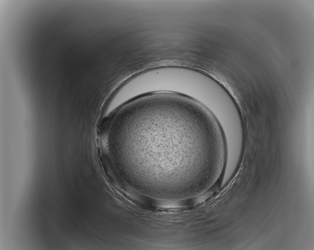 X0000115370297200911101252