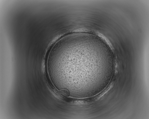 X0000115370298200911101252