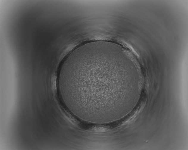 X0000115370299200911101251
