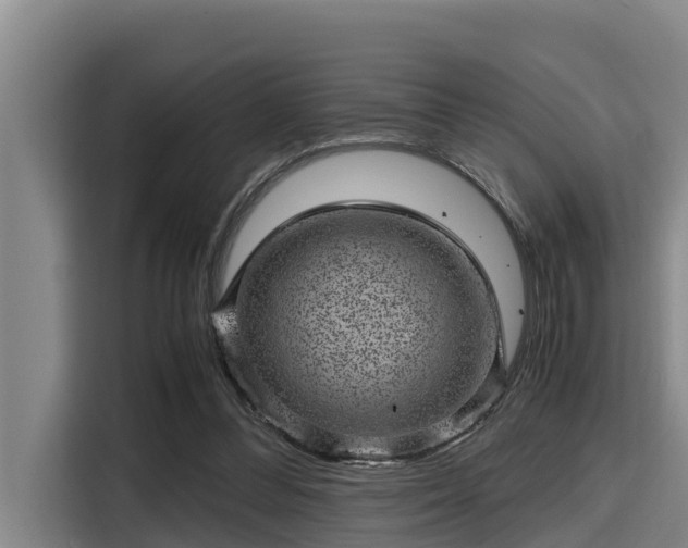 X0000115370300200911101251