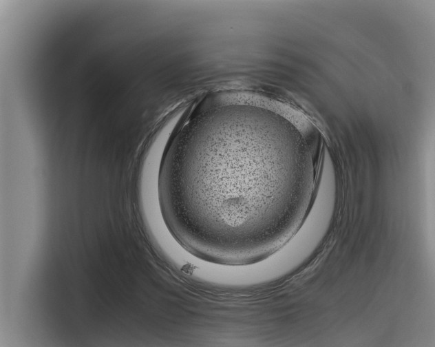 X0000115370301200911101251