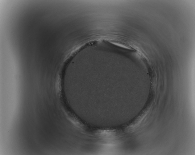 X0000115370303200911101251
