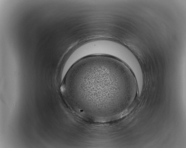 X0000115370304200911101251