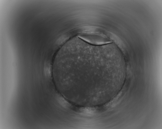 X0000115370305200911101251