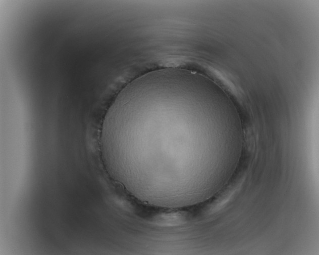 X0000115370307200911101251