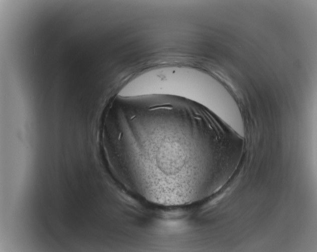 X0000115370309200911101251