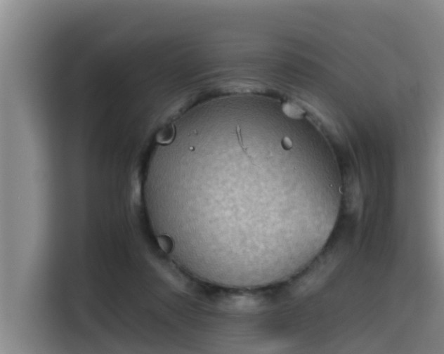 X0000115370310200911101251