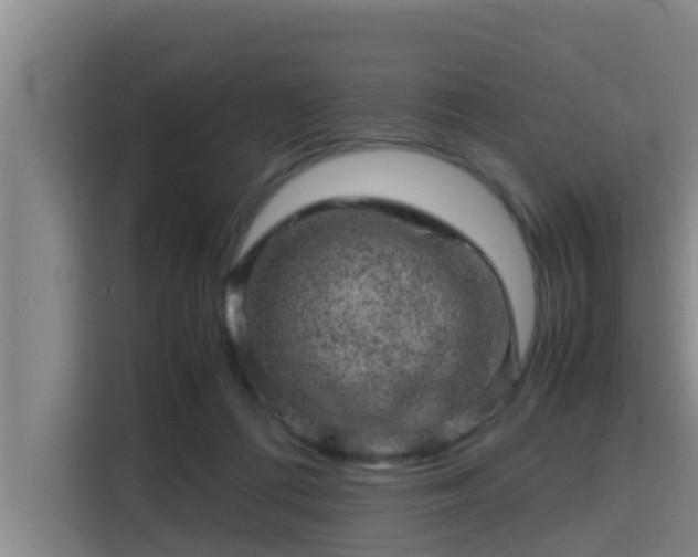 X0000115370312200911101251