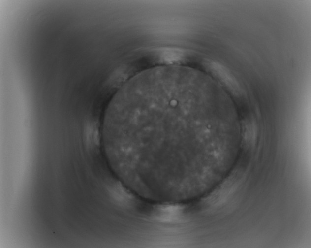 X0000115370313200911101251