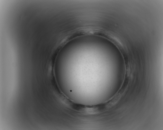 X0000115370314200911101251