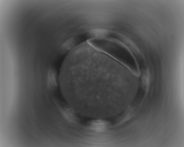 X0000115370316200911101251
