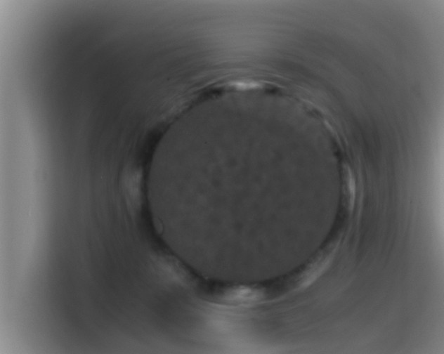 X0000115370319200911101251