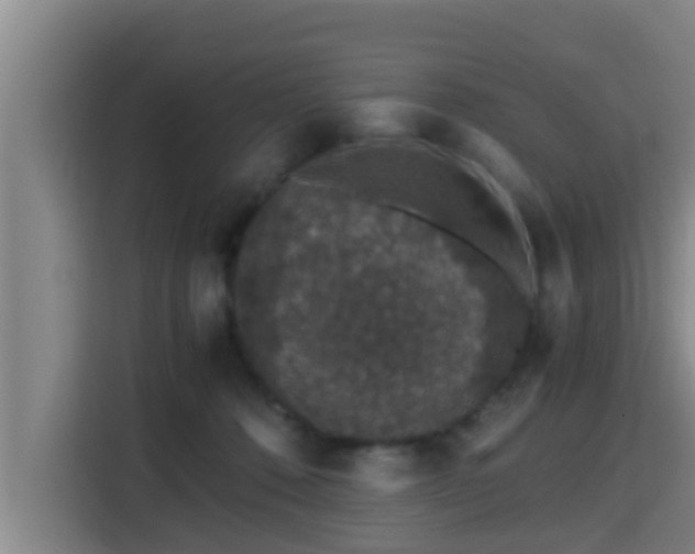 X0000115370320200911101251