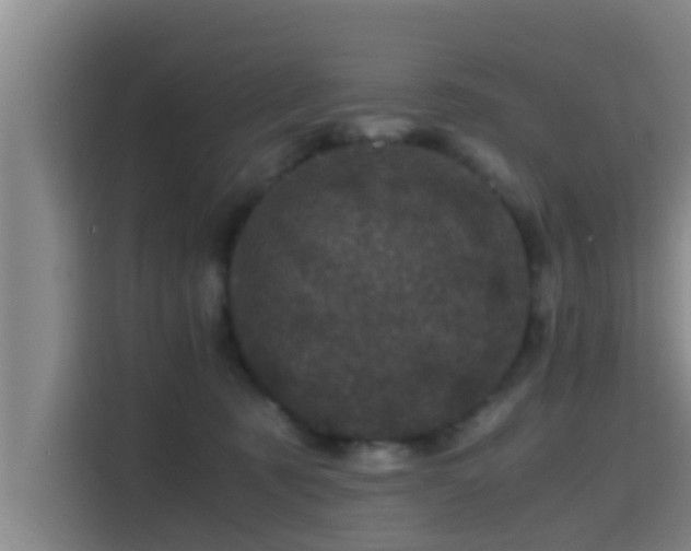 X0000115370321200911101251