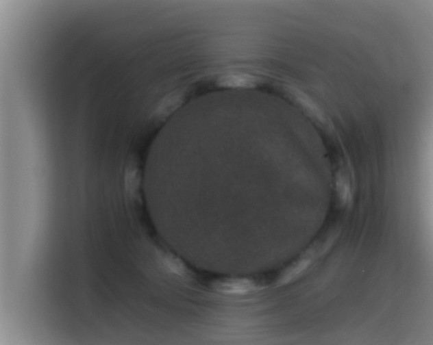 X0000115370322200911101251