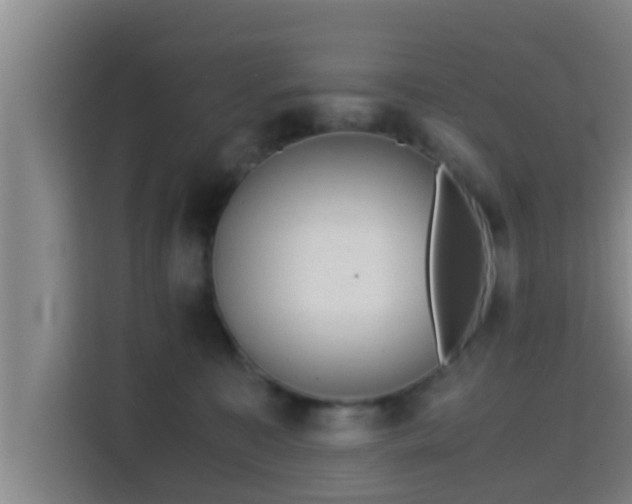 X0000115370323200911101251