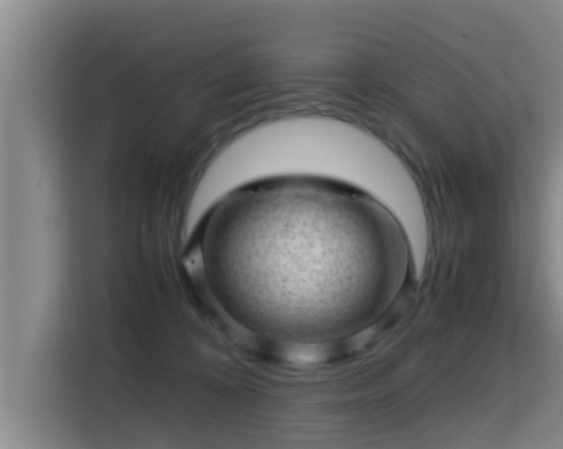 X0000115370324200911101251