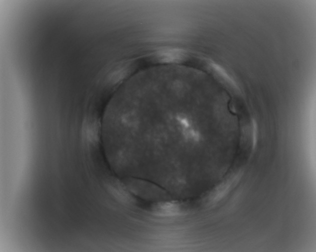 X0000115370325200911101251