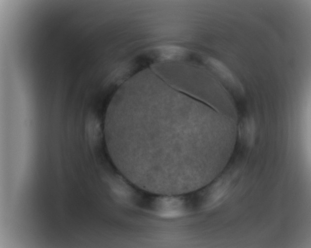 X0000115370327200911101251