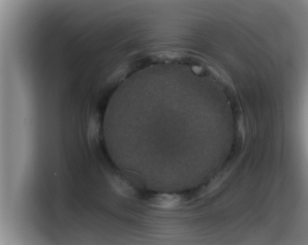 X0000115370328200911101251
