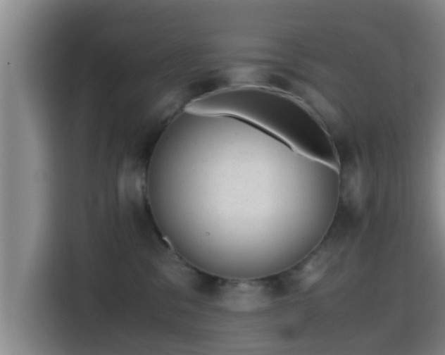X0000115370329200911101251