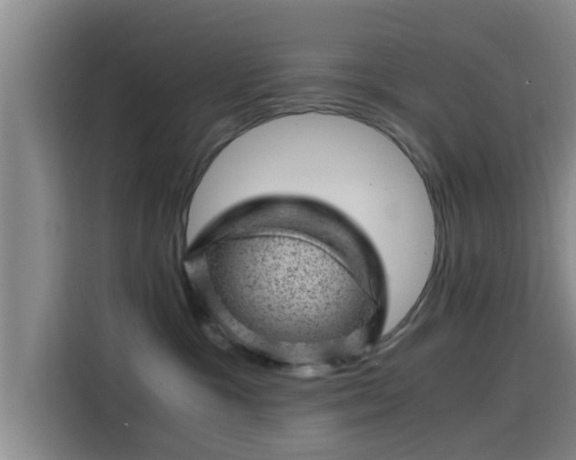 X0000115370333200911101251