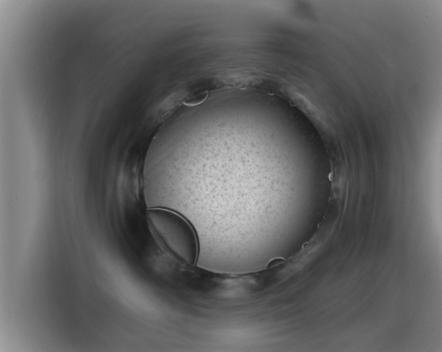 X0000115370334200911101251