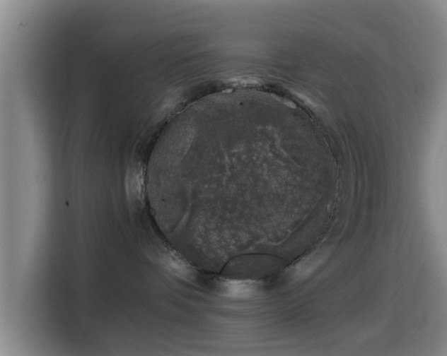 X0000115370336200911101251