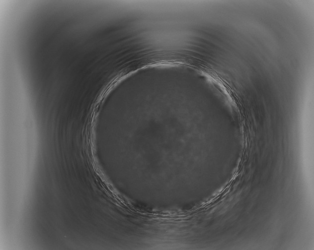 X0000115370337200911101250