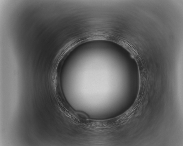 X0000115370338200911101250