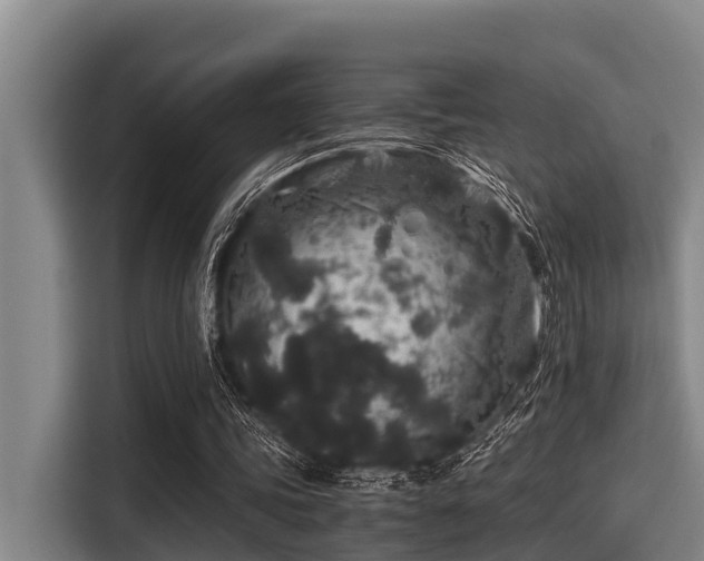 X0000115370339200911101250