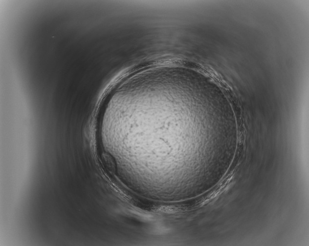 X0000115370341200911101250